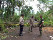 Akses Jalan Menuju Surian Ambles di Hariang