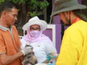 419 HPR di Pulau Panggang Telah Divaksin Rabies