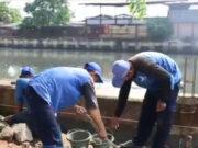 Sudin SDA Jakbar Perbaiki Parapet Turap Kali Angke