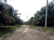 Jalan Sp4 Kampung Baru Desa Ukui Kec. Ukui Kab. Pelalawan Riau Rusak Parah