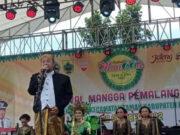 Festival Buah Mangga Kembali Digelar di Pemalang