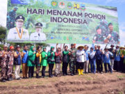 Serentak Tanam Puluhan Ribu Pohon, Tandai Peringatan Hari Menanam Pohon Indonesia