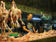 Pakan Penyebab Harga Daging Ayam Belum Turun di Kota Bandung