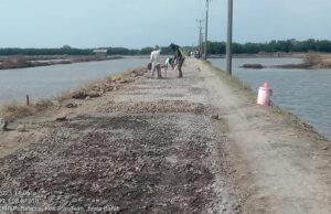 Pekerja Proyek BM Pengerasan Jalan Produksi di Desa Pabean Ilir Abaikan APD