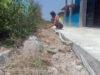 Masyarakat Kecewa Rehab Jalan Lingkungan Desa Pabean Udik, Diduga Dikerjakan Asal-Asalan