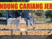 Bendung Cariang Jebol, 3 Tahun Area Pertanian di Ujungjaya Mengalami Lumpuh Total