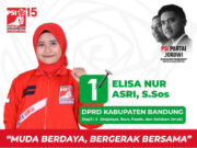 Elisa Nurasri Caleg PSI DPRD Kabupaten Bandung, Berpegang Prinsip dan Komitmen