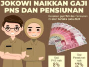 Pensiunan Pegawai Negeri Sipil 2024, Bakal Terima Ini dari Pemerintah