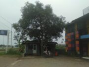 Praktisi Hukum Robbi Soroti Diskotik DM/Tic Berkedok Restauran di Indramayu