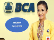 Ayo Manfaatkan, Paylater Bank BCA Beri Promo Besar-besaran Tahun 2024