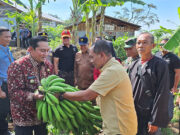 Pj Bupati Sumedang Puji Program SAMAWANA Kecamatan Cimalaka
