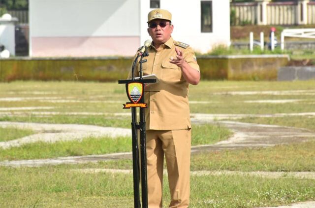 pj bupati smd