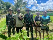 Mendukung Ketahanan Pangan, Satgas Yonif 131/BRS Manfaat Lahan Kosong Bersama Masyarakat di Perbatasan Papua