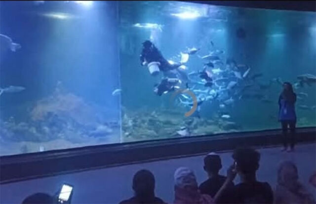 aquarium