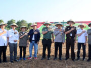 Dukung Asta Cita Presiden RI, Polres Indramayu Kolaborasi Tanam Jagung di Petak 18A RPH Cijambe
