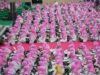Burdahan: Fatayat NU Pekalongan Gaungkan Sholawat dan Nasionalisme