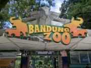 DPRD Desak Pemkot Bandung Ambil Sikap: Nasib Bandung Zoo di Ujung Tanduk