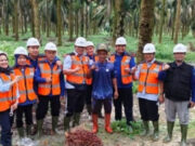 KSPSI Ajak Perusahaan Sawit Tiru Hubungan Industrial Cargill Group