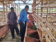 BUMDes Bermuda Kedokan Agung Kembangkan Ketahanan Pangan Masyarakat