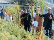 Hadiri Panen Raya Organik, Bupati Herdiat Canangkan Ciamis sebagai Kabupaten Organik 2026