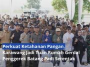 Perkuat Ketahanan Pangan, Karawang Jadi Tuan Rumah Gerdal Penggerek Batang Padi Serentak