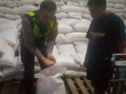 Sinergi Polri dan Petani, 5 Ton Jagung Garut Siap Perkuat Stok Pangan Nasional