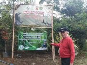 Ketahanan Pangan Berbasis Konservasi Alam Butuh Pohon, Bukan Banyak Omong