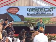 Hashim Djojohadikusumo Hadiri Penanaman Kedelai Nasional di Indramayu