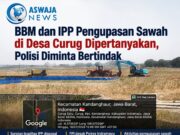 BBM dan IPP Pengupasan Sawah di Desa Curug Dipertanyakan, Polisi Diminta Bertindak