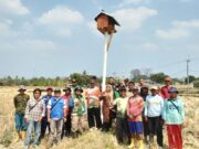 Kelompok Tani Muda Makmur Gelar Syukuran Pembangunan RJIT dan Pembuatan Rubuha di Ujungjaya