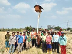 Kelompok Tani Muda Makmur Gelar Syukuran Pembangunan RJIT dan Pembuatan Rubuha di Ujungjaya
