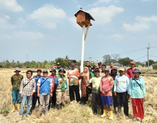 Kelompok Tani Muda Makmur Gelar Syukuran Pembangunan RJIT dan Pembuatan Rubuha di Ujungjaya